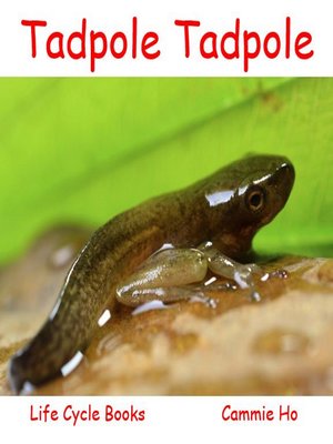 cover image of Tadpole Tadpole
